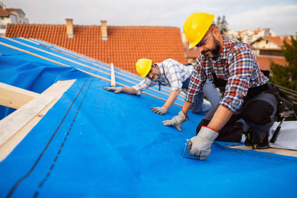 Best Roof Repair Services  in Harrison, WI