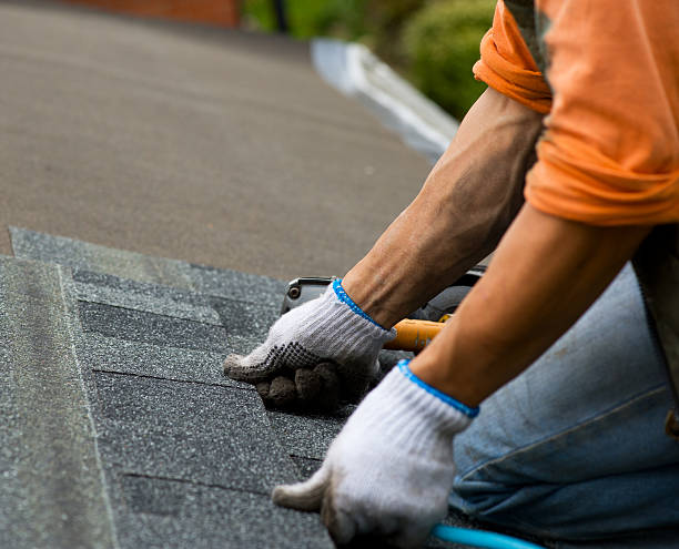Best Roof Repair Services  in Harrison, WI